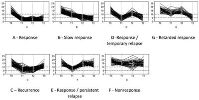 Typical disease courses of patients with unipolar depressive disorder after in-patient treatments–results of a cluster analysis of the INDDEP project